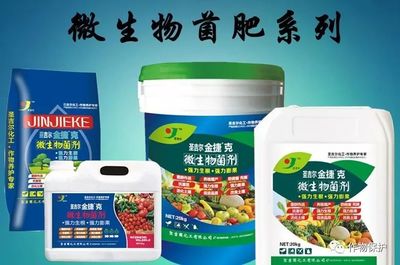 科学施用菌肥 掌握7大关键注意事项与规避6大无效原因