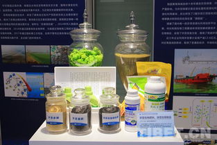 海洋试点国家实验室 问海十八载，为强国战略注入海洋科研不竭动力