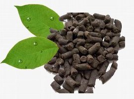 微生物肥料与生物制剂 绿色农业的未来引擎