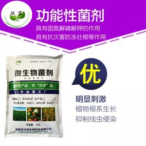 生物肥料与生物制剂 现代农业的绿色引擎